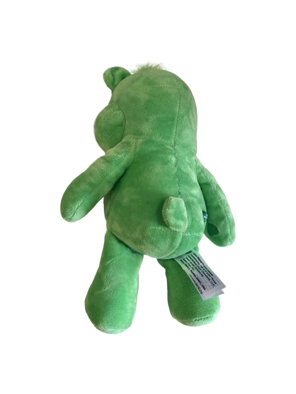 🍀 Care Bear 2021 Good Luck Bear Plush 9